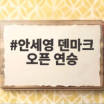안세영 덴마크 오픈 연승 42연승 결승까지 단 2승 안세영 덴마크 오픈 연승