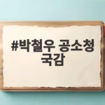 박철우 공소청 국감 공소취소 검토 없다는 답변의 진짜 의미 박철우 공소청 국감