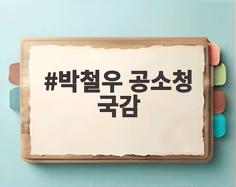 박철우 공소청 국감