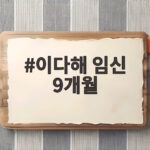 이다해 임신 9개월 만삭 작은 배 중국 검색어 1위 세븐 오열 비하인드 이다해 임신 9개월