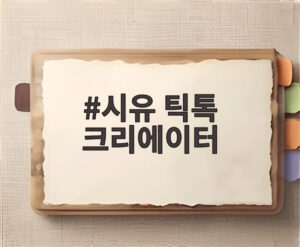 시유 틱톡 크리에이터