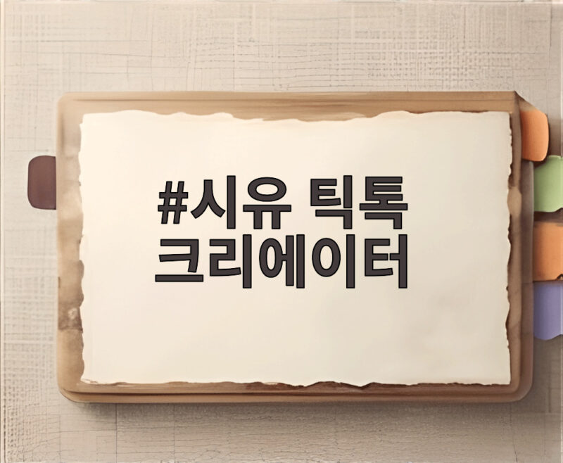 시유 틱톡 크리에이터 데뷔 그녀의 새로운 시작은 어디로 향할까 1 시유 틱톡 크리에이터
