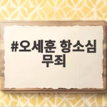 오세훈 항소심 무죄 판결 1심 뒤집은 이유와 향후 전망 오세훈 항소심 무죄