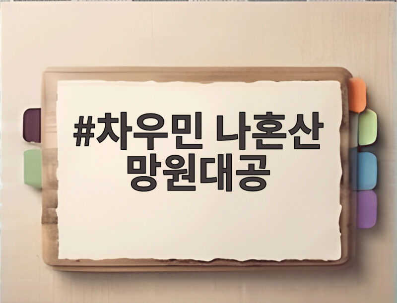 차우민 나혼산 망원대공