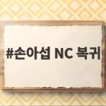손아섭 NC 복귀 확정 2655안타 베테랑의 창원 컴백 손아섭 NC 복귀