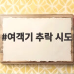 여객기 추락 시도