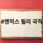 엔믹스 릴리 국적