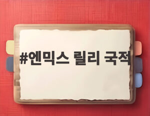 엔믹스 릴리 국적