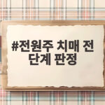 전원주 치매 전 단계 판정 10분 만에 잊은 사연 전원주 치매 전 단계 판정